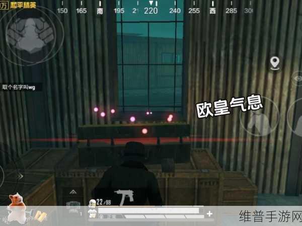 和平精英深度攻略，精准掌握地点标记技巧，提升团队协作效率