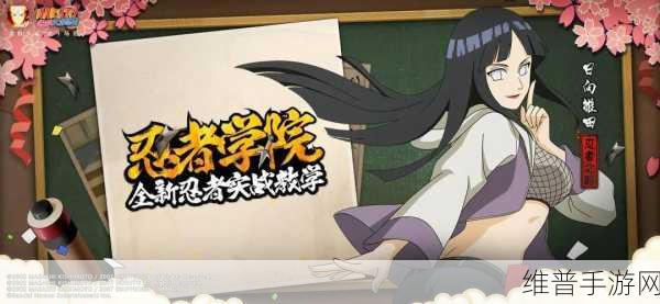我的勇者忍者装备搭配全攻略，打造无敌忍者之路