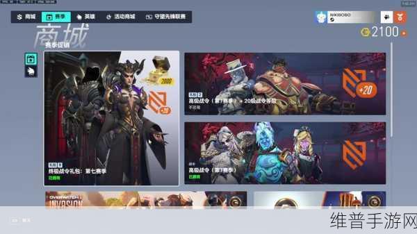守望先锋国外比赛亚军：守望先锋国际赛季：亚军战队的荣耀与挑战