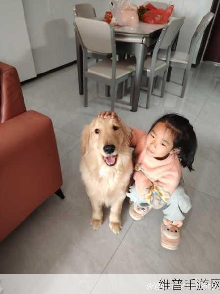我的第一次给了家狗狗：“我与家狗的第一次亲密接触，温馨瞬间难忘”