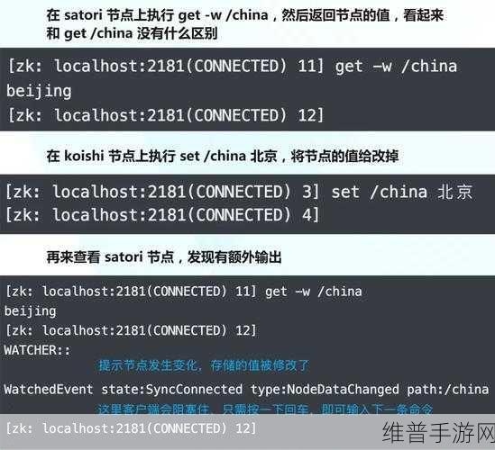 Zookeeper最新农场最新版：探索Zookeeper最新农场版本：全新玩法与特色解析