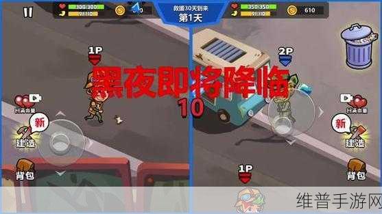 小游戏荒野日记孤岛兑换码最新：荒野日记孤岛冒险：最新兑换码大揭秘与分享