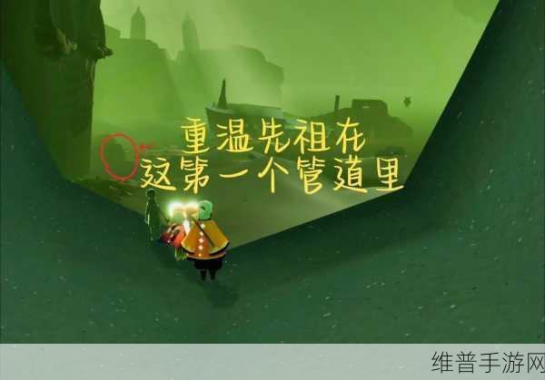 光遇手游攻略,如何完成两人合力开启一道门任务