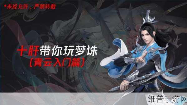 梦幻新诛仙青云速度达标攻略指南