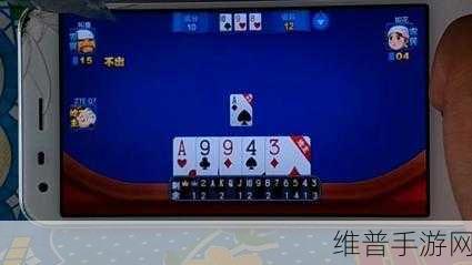 博雅和榜一大哥斗地主：博雅斗地主：与榜一大哥共赴智勇之战的乐趣