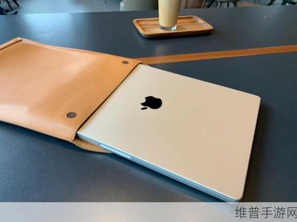 1819岁maxbook日本：1819岁Maxbook：探索日本的独特魅力与文化精髓