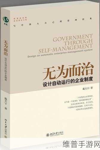 伦码理无：无为而治：探寻伦码理的智慧与实践路径