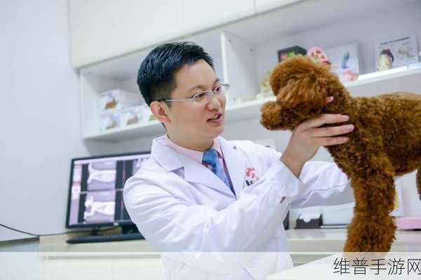 人与畜禽CROPROATIO选手技能：提升人与动物在CROPROATIO赛事中的技能与协作能力