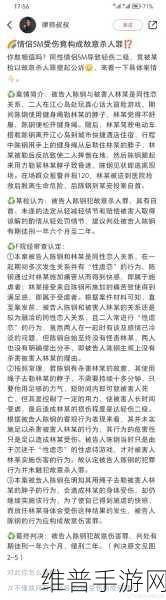 小圈实践狠揍纪实：小圈实践中的挑战与成长：狠揍纪实全记录