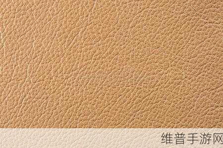 AAAA级毛皮和普通版对比：AAAA级毛皮与普通版的全面对比分析