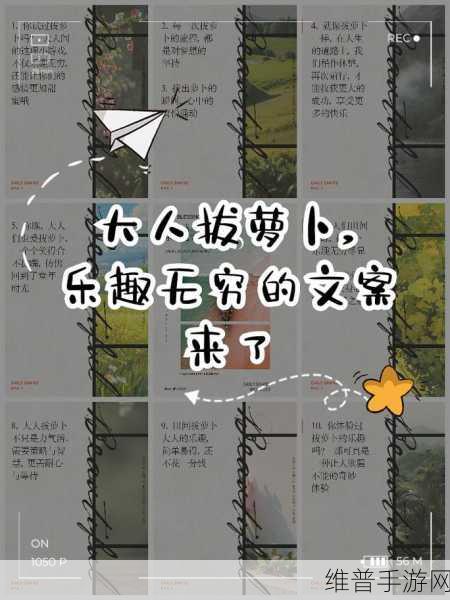 拨萝卜不盖被子：抛开被子，尽情享受拨萝卜的乐趣与收获