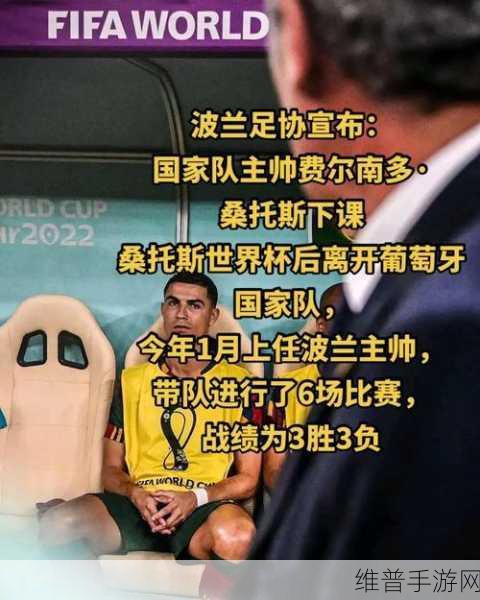 葡萄牙主帅桑托斯离任：葡萄牙主帅桑托斯离任，球队未来发展引关注