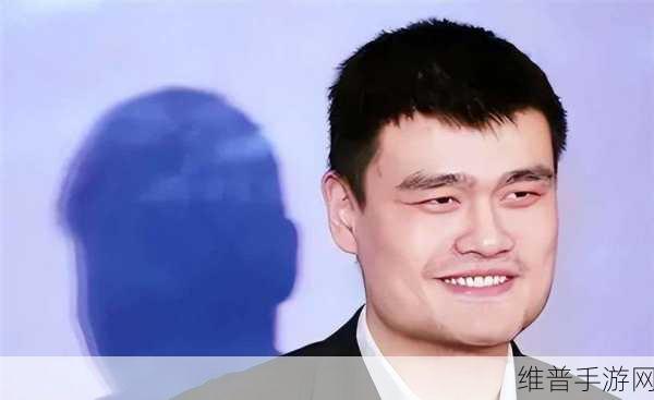姚明的身高床要定制：为姚明量身定制的超高特尺床，舒适又独特