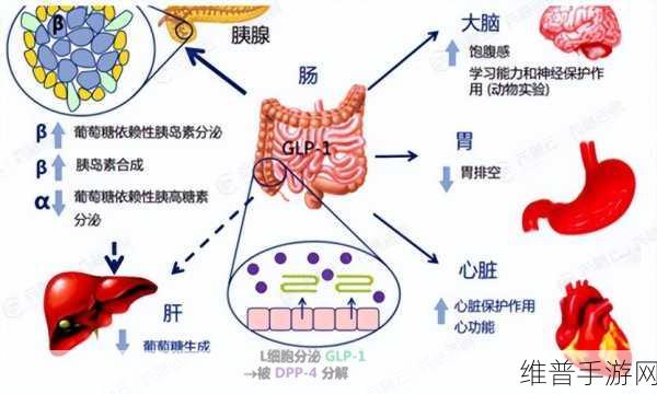 卡一卡二亚洲精品：全面解析拓展卡一卡二的应用与发展趋势