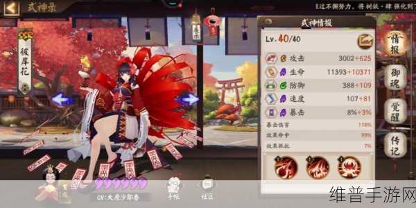 阴阳师夜溟彼岸花御魂攻略，深度解析两套高效御魂搭配