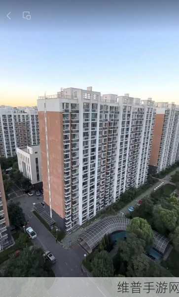 66m一66成长模式视频：探索66m一66成长模式：实现个人与团队双重突破的秘诀