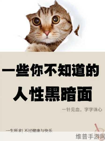 夜间100种禁：夜间禁忌百事通：揭秘潜藏在黑暗中的规则与危险