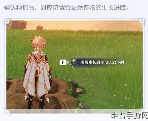 原神家园种植全攻略，开启田园之旅