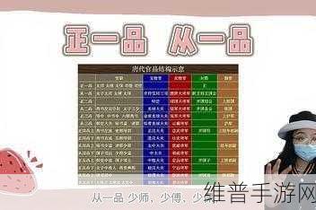 国产一品二品区别：国产一品与二品之间的区别详解及其影响分析