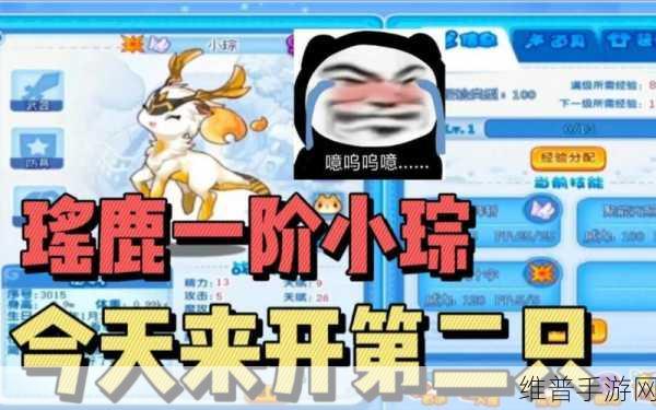 洛克王国新宠小琮降临，揭秘轻松获取小琮的独家攻略