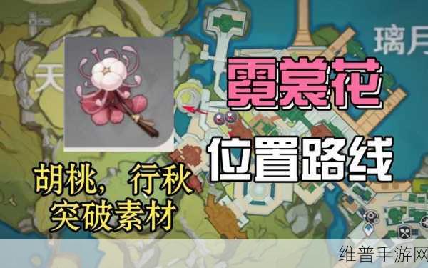 原神霓裳花采集全攻略，详尽路线与高效采集技巧