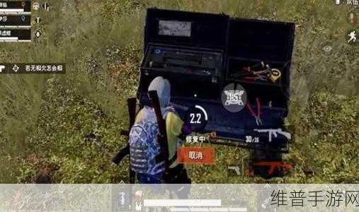 和平精英后勤兵阵容搭配全攻略