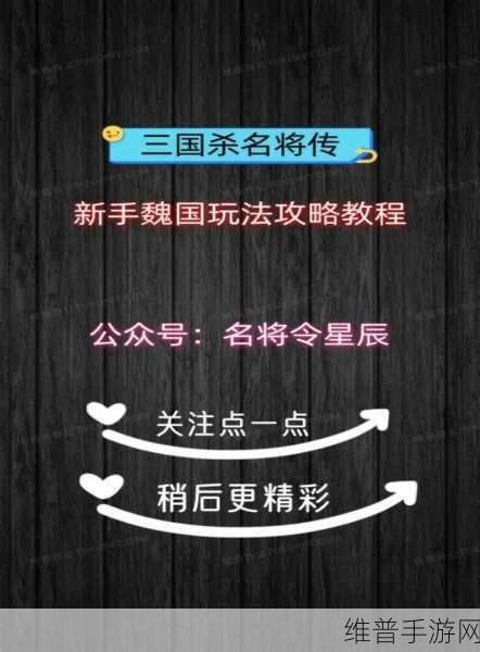 三国杀名将传最佳组合攻略,魏蜀吴群雄全阵容推荐