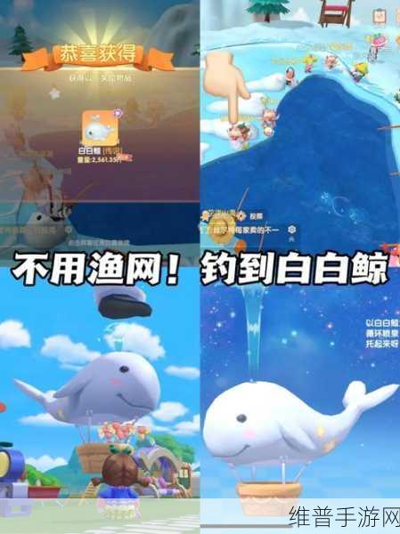 摩尔庄园手游攻略,揭秘白白鲸的获得方法与详细介绍