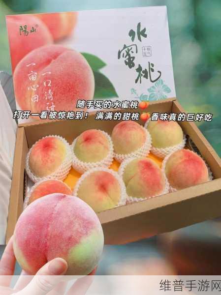 水蜜桃久久:水蜜桃的甜美滋味,尽享四季常鲜之乐
