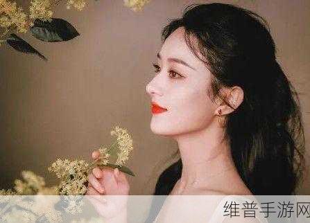 赵丽颖天涯昆仑饭店:赵丽颖在天涯昆仑饭店的精彩瞬间与幕后故事