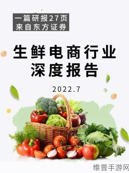 BC一体前置仓：深入探讨BC一体前置仓的战略拓展与应用潜力