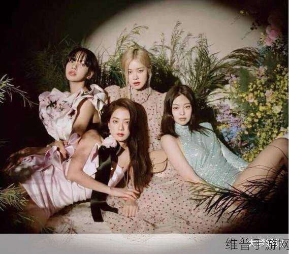 blackpink团约：BLACKPINK新团约：携手共创音乐传奇的未来之路