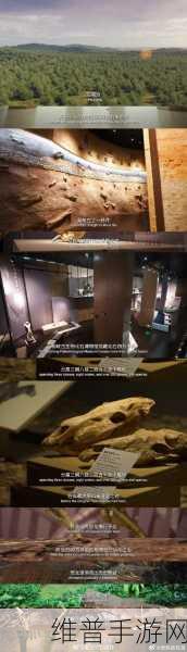 猫博物馆大厅通关秘籍，解锁神秘世界的钥匙