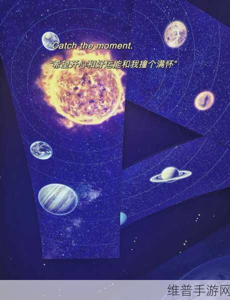 猫博物馆大厅通关秘籍，解锁神秘世界的钥匙