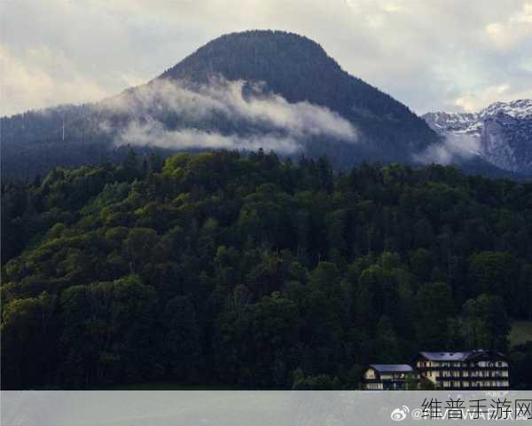 天堂网15:探索全新视野:拓展天堂网15的无限可能与应用