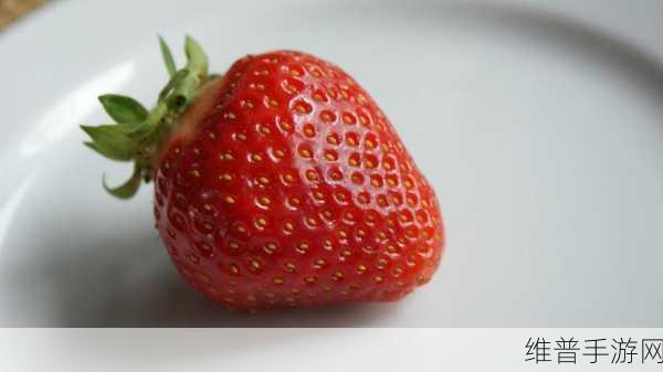 草莓视频有容乃大:草莓视频:包容万象,精彩无限的视听盛宴