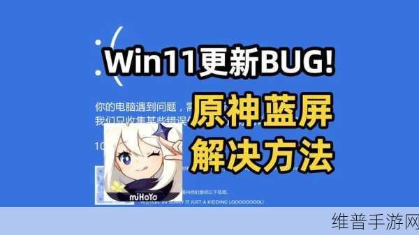 笔记本畅玩原神，设置秘籍大公开
