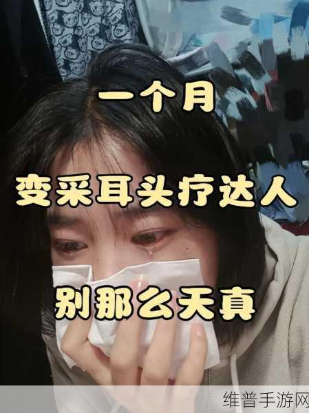 收纳达人可视采耳,全面通关攻略与深度解析