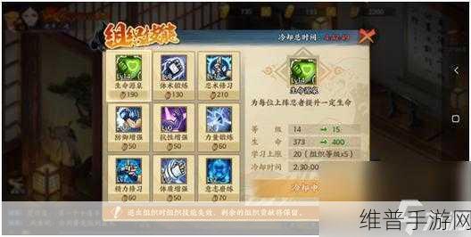 火影忍者 OL 手游，新手必知的前期发展秘籍
