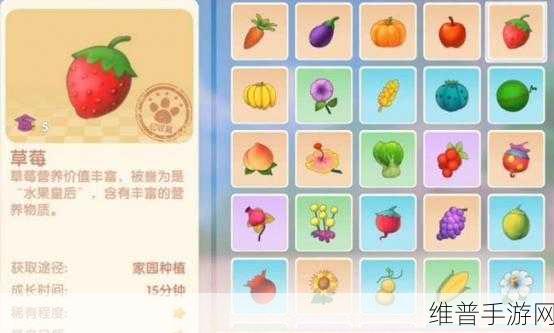 摩尔庄园手游，草莓背包获取秘籍大公开