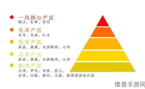 一线产区和二线产区：扩大一线和二线产区的市场潜力与发展策略