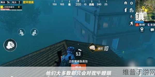 和平精英，全面解析躲丧尸策略与技巧