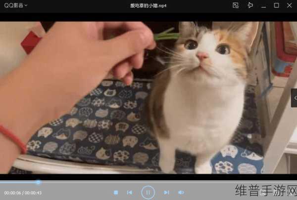 草莓视频在线下载色多多：全新草莓视频在线下载色多多，畅享无限精彩视频体验！