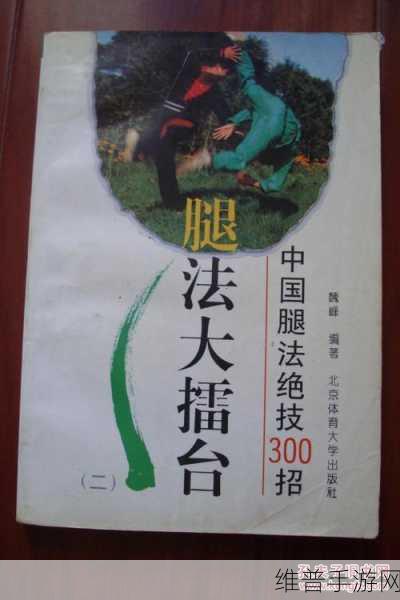 雷电腿法娴熟脚法免费：提升雷电腿法技巧，免费教你灵活脚法秘诀