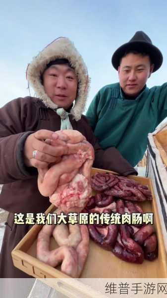 小洞需要大肉肠小鸟：探索大肉肠与小鸟的奇妙结合之旅