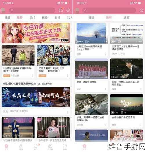 成人B站：探索成人B站：多元内容与文化的新天地