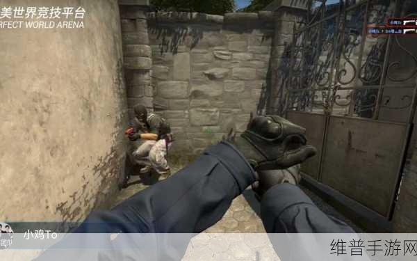 暴躁妹妹csgo精彩瞬间图片：暴躁妹妹在CSGO中展现精彩瞬间的集锦与回顾