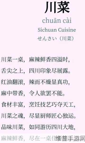 四川BBB擦BBB：四川美食探索之旅：舌尖上的 BBB 文化盛宴