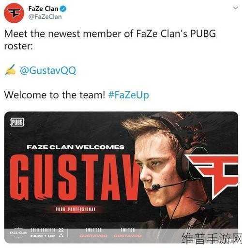 faze战队：“Faze战队：打造电竞传奇，勇攀世界巅峰！”