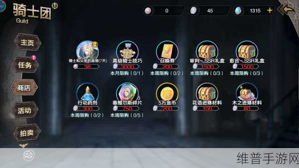 苍之骑士团 2 全方位玩法秘籍与攻略指南